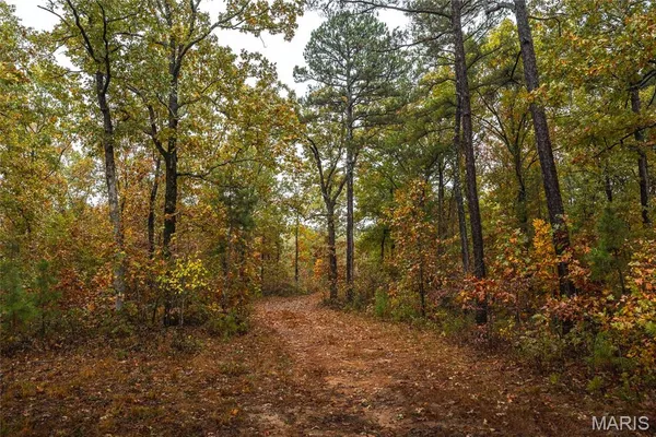 $124,900 | 0 Lodge Tract 5 Road, Potosi, MO 63664
