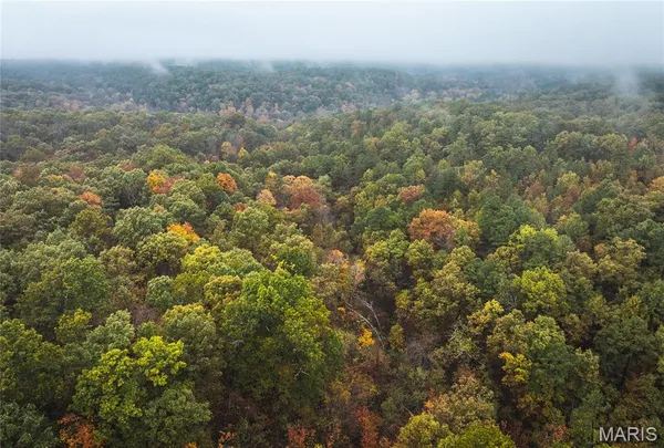 $124,900 | 0 Lodge Tract 5 Road, Potosi, MO 63664