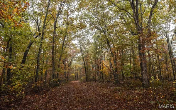 $124,900 | 0 Lodge Tract 5 Road, Potosi, MO 63664