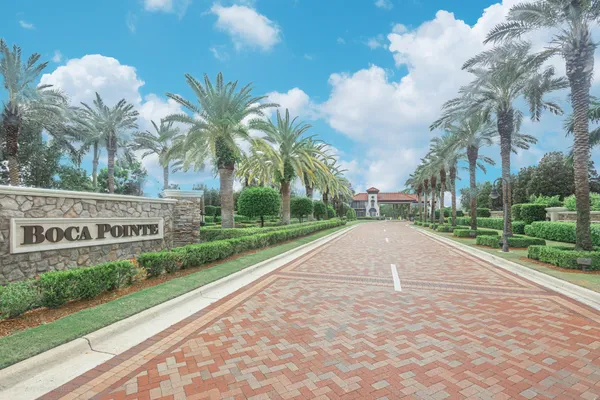 a view of a park with palm trees