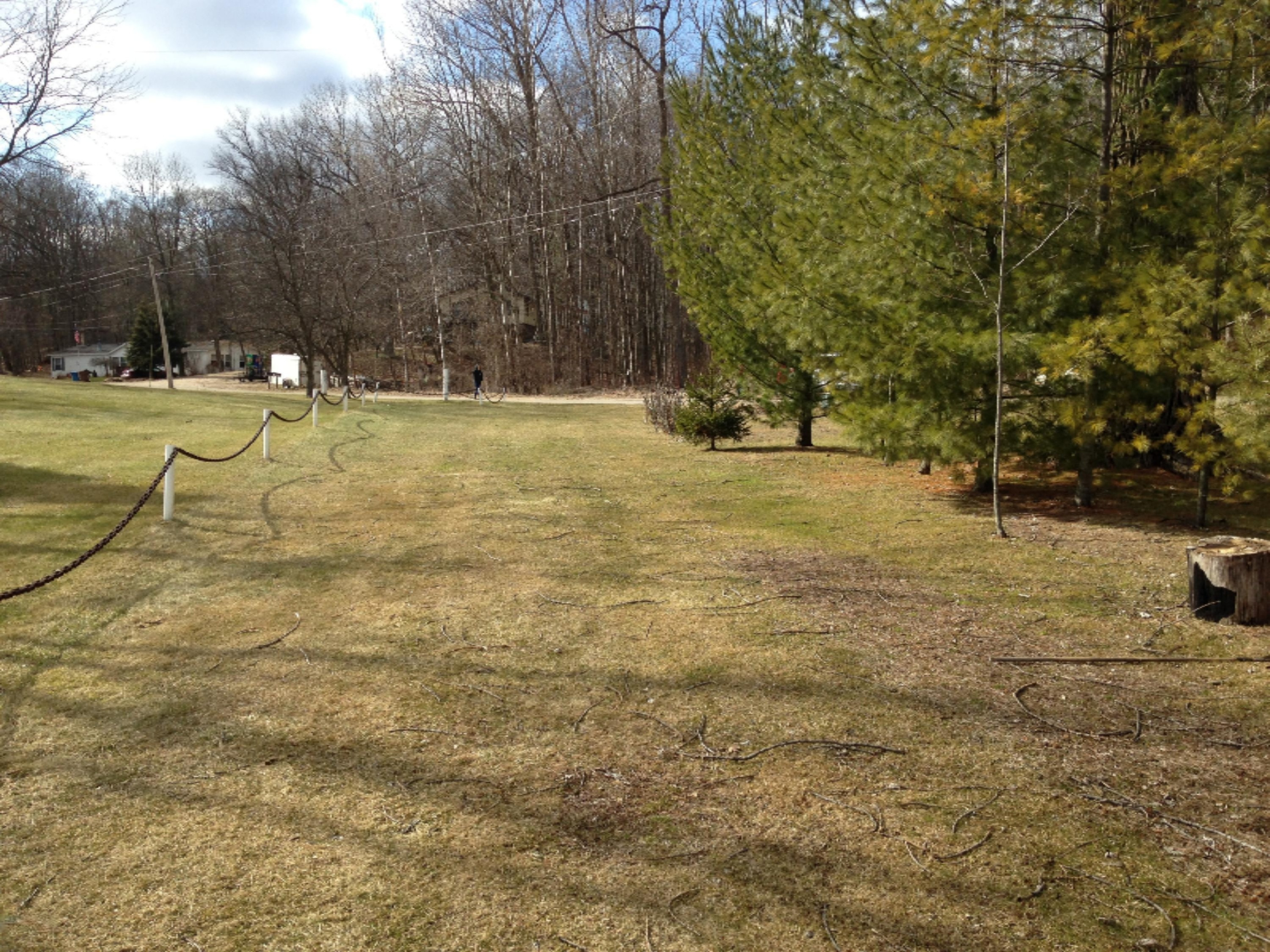 0 White Road Pierson, MI 49339 - Photo 11 of 12 IMG_1540