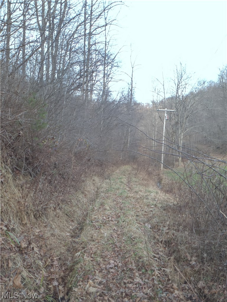 Rinehart Road Wallace, WV 26448 - Photo 12 of 14
