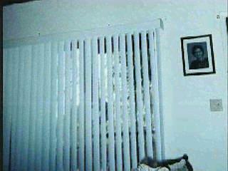 0 East Prince Road, Unit 1683/5 0 Tucson, AZ 85719 - Photo 3 of 9