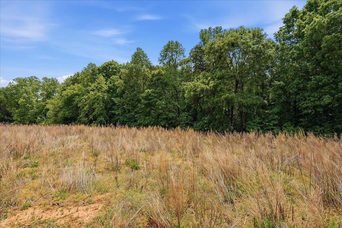 Lot 3 Parris Farm Road Chesnee, SC 29323 - Photo 24 of 26