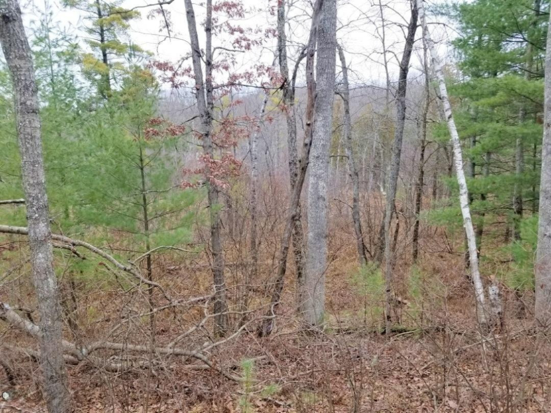 5414 Boltwood Road Chase, MI 49623 - Photo 13 of 21 20201211_145706