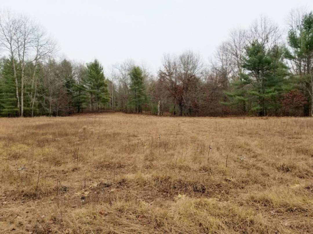 5414 Boltwood Road Chase, MI 49623 - Photo 15 of 21 20201211_145811