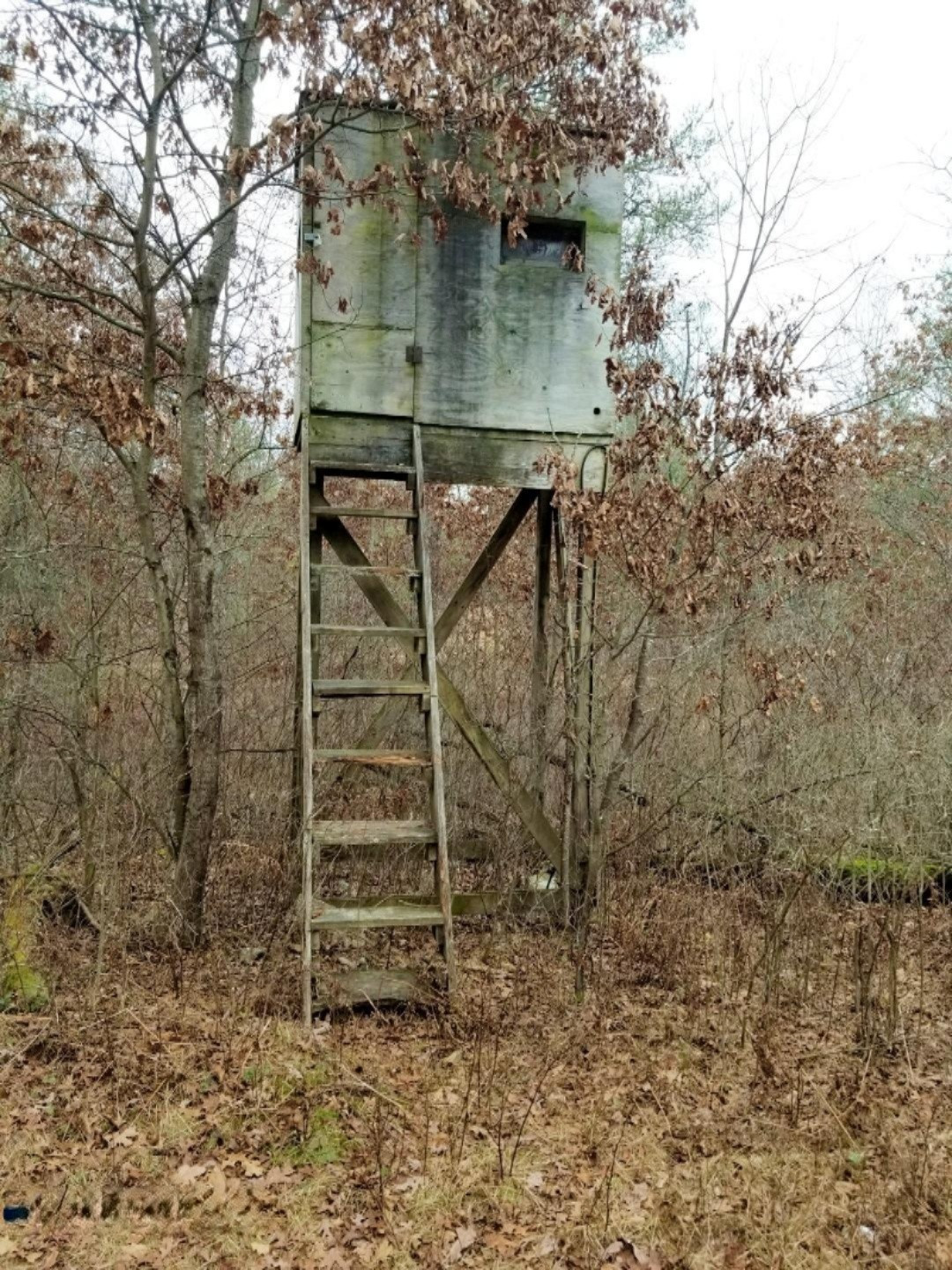 20201211_145057
