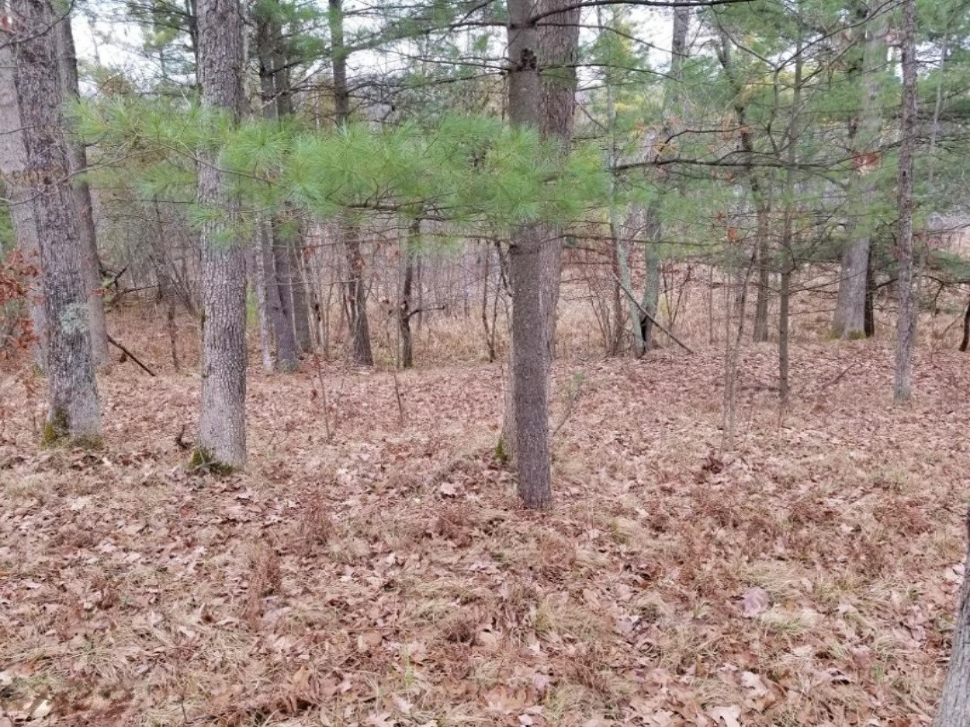 5414 Boltwood Road Chase, MI 49623 - Photo 10 of 21 20201211_145440