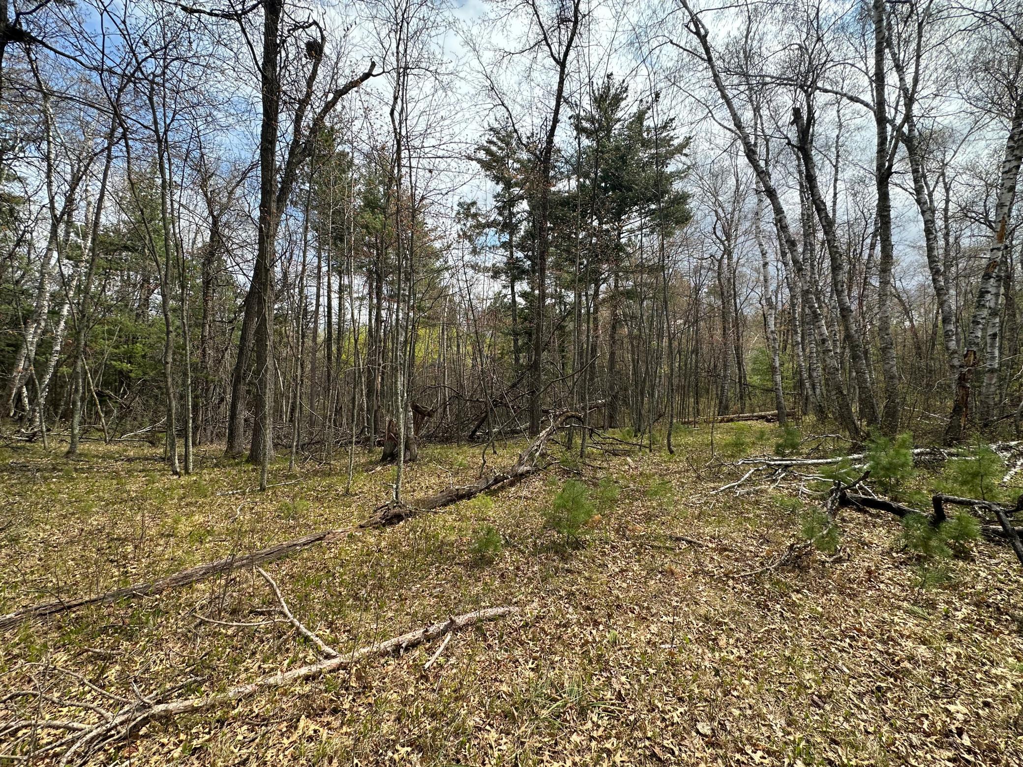Tbd Dobosenski Road Sturgeon Lake, MN 55783 - Photo 8 of 22