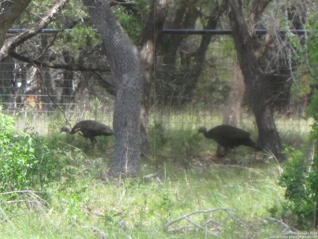a view of outdoor space and a yard