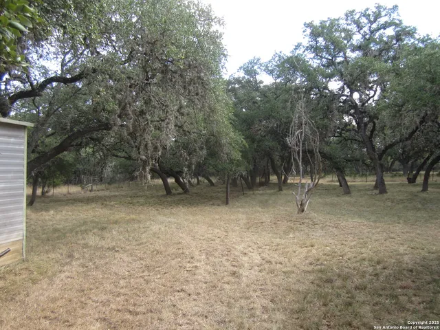 a view of outdoor space with trees
