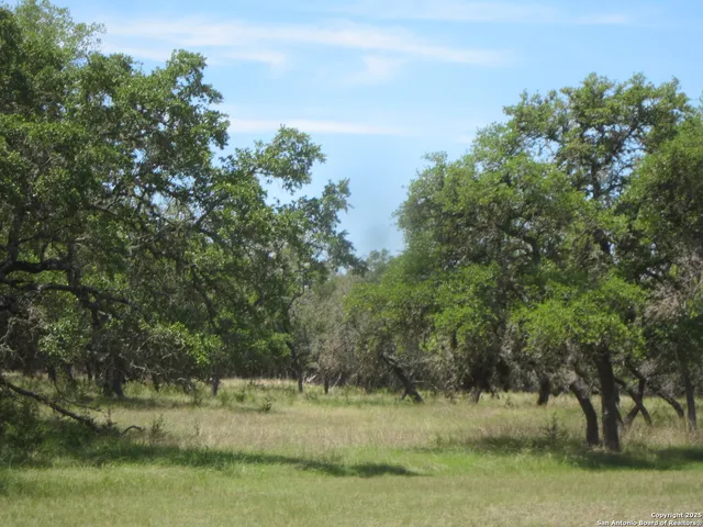 a view of mountain with trees in the background