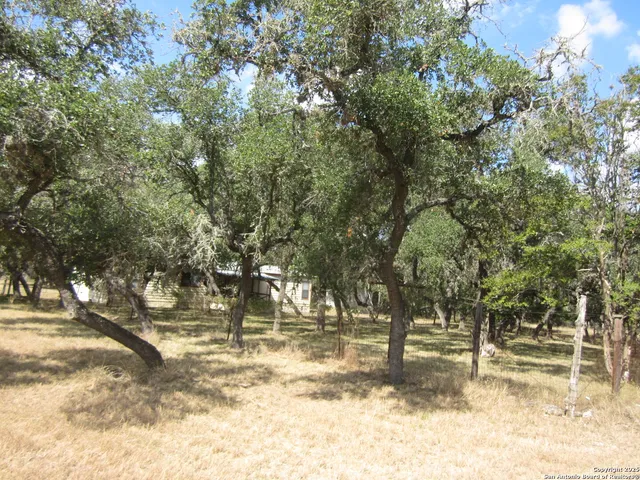 a view of yard with trees