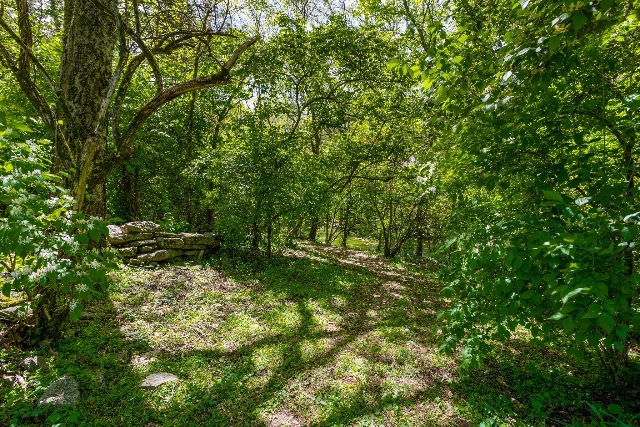 724 Newberry Road Nashville, TN 37205 - Photo 27 of 33 Gallery Image 27