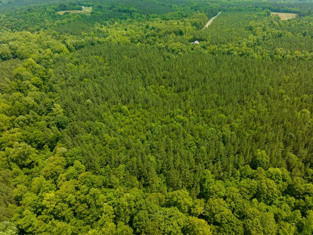 0 Mill Creek Road Roxboro, NC 27574 - Photo 33 of 54 Photo 33