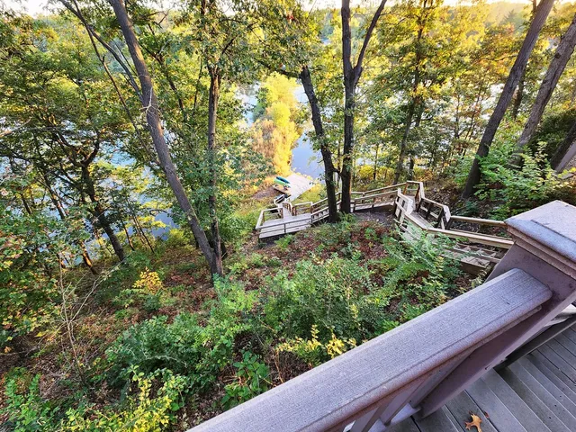 a view of a garden with plants and large trees