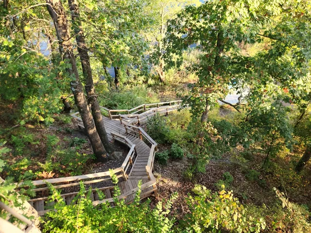 a chair and table in the garden