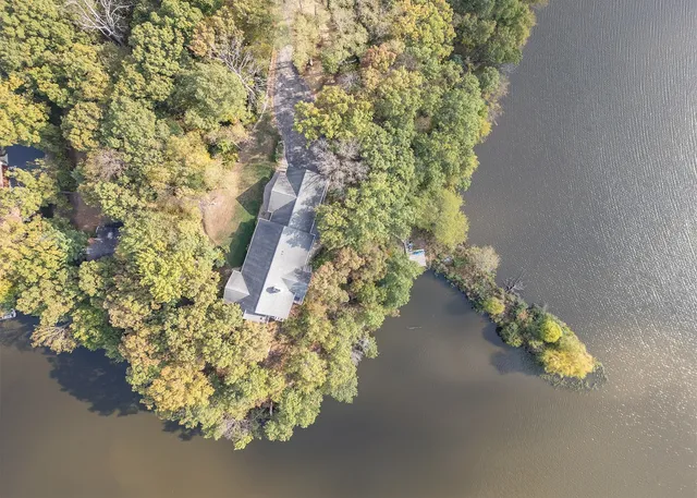 a view of a garden with painted walls