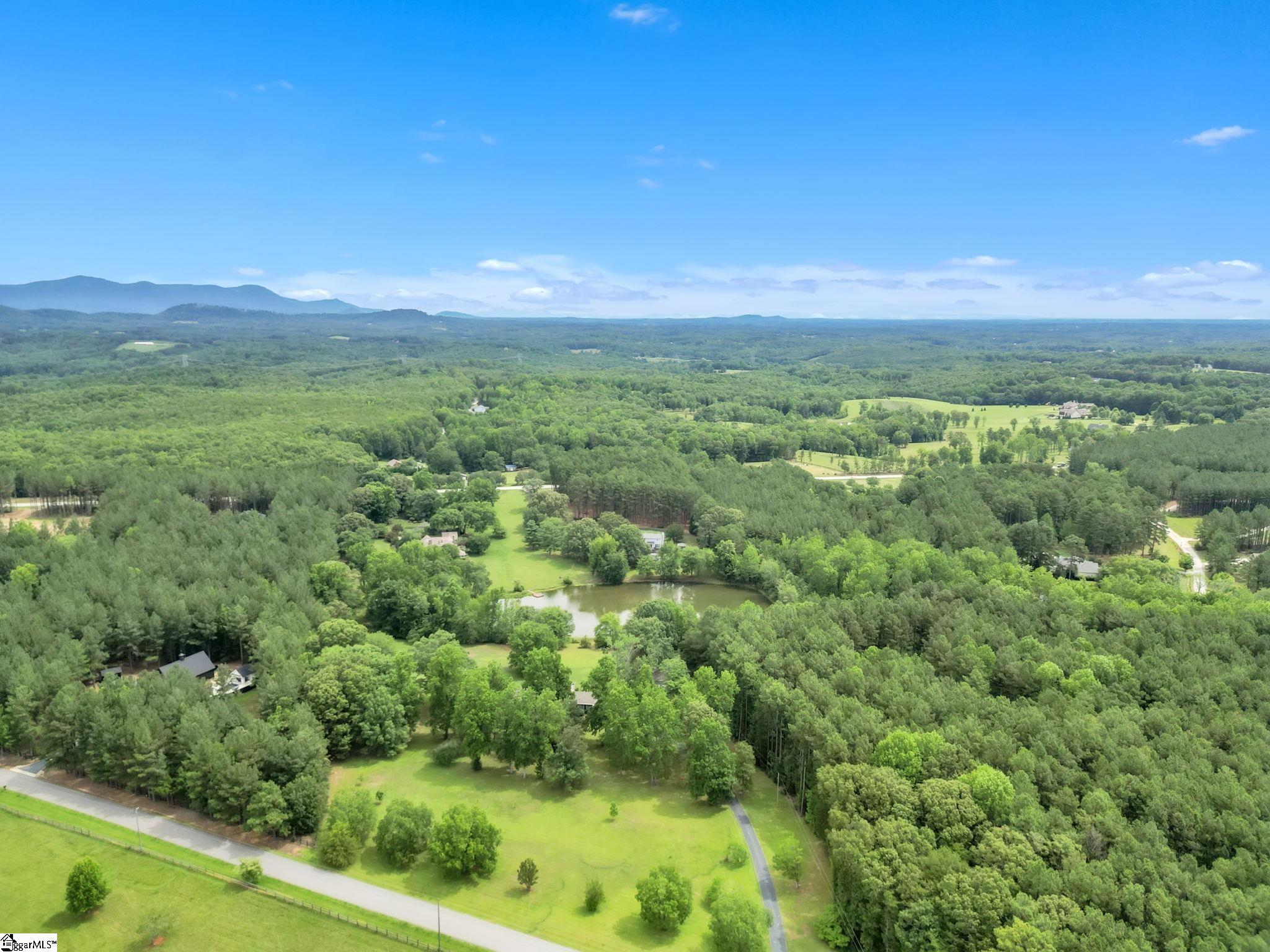 412 Smith Road Landrum, SC 29356 - Photo 34 of 37
