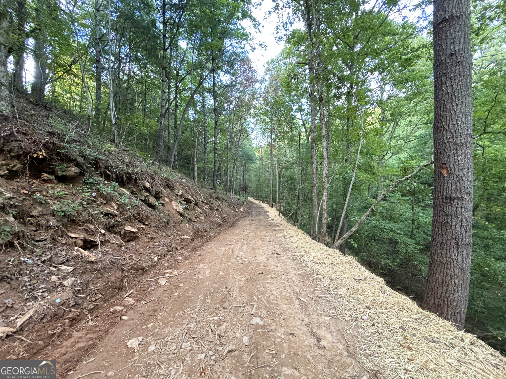 396 Mt Springer Road Ellijay, GA 30540 - Photo 41 of 50