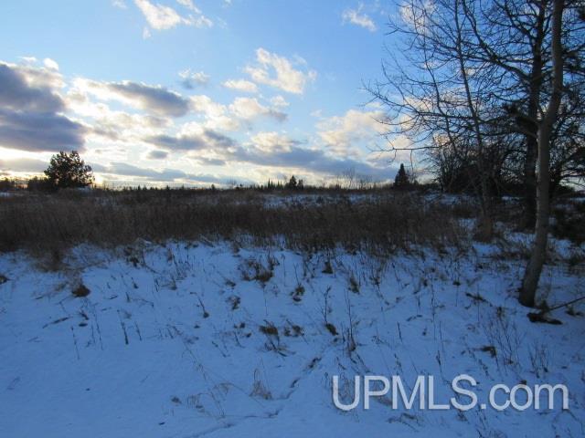 M35 - Tower Road Perkins, MI 49872 - Photo 6 of 15