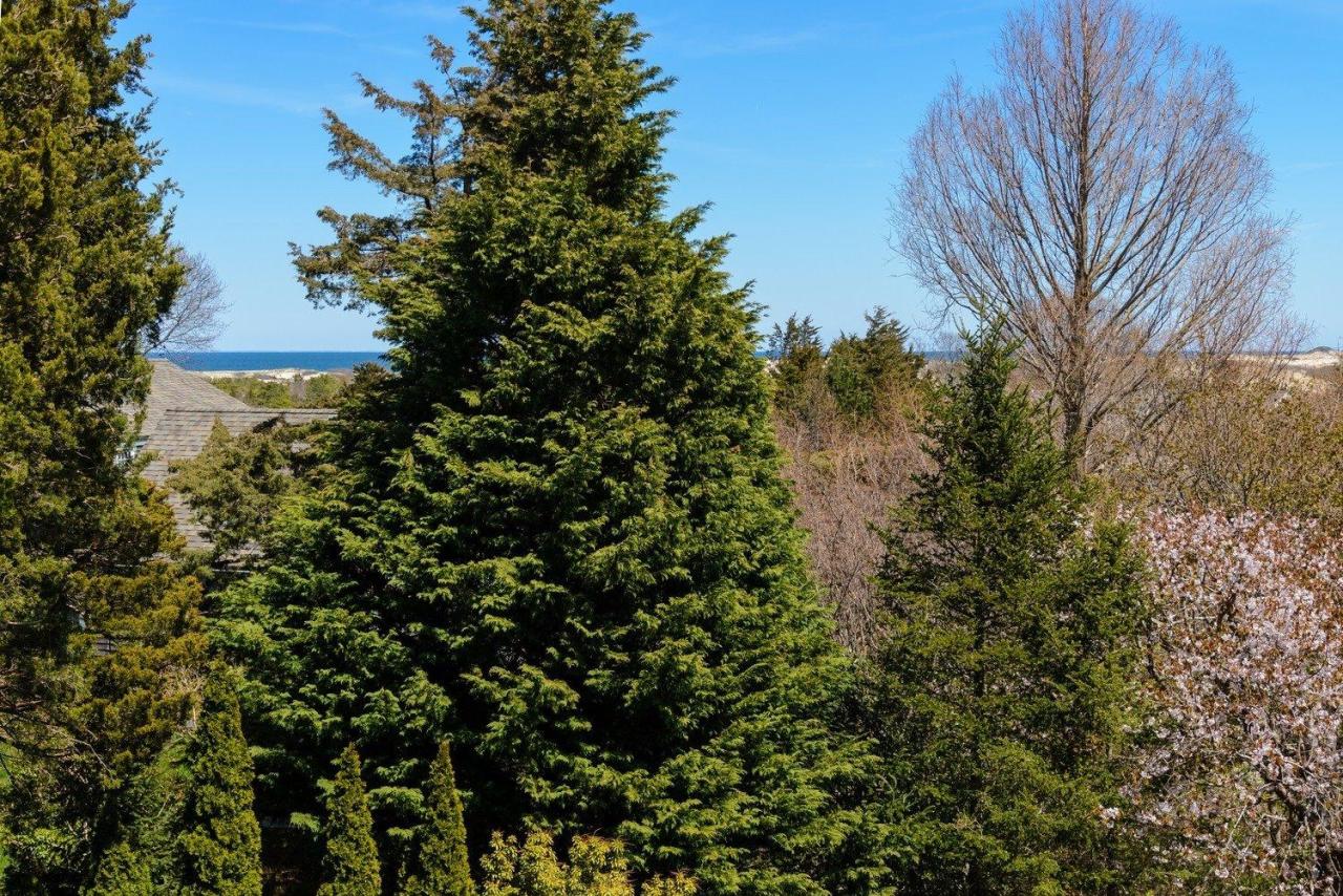 52 Point Hill Road West Barnstable, MA 02668 - Photo 22 of 28 a view of a house with a tree
