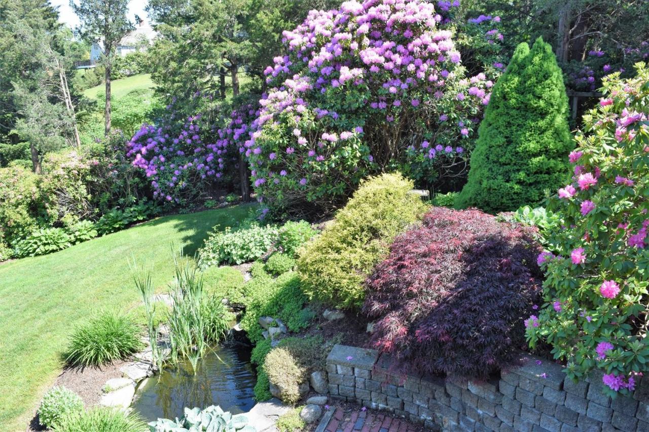 52 Point Hill Road West Barnstable, MA 02668 - Photo 3 of 28 a view of bunch with flowers and flowers