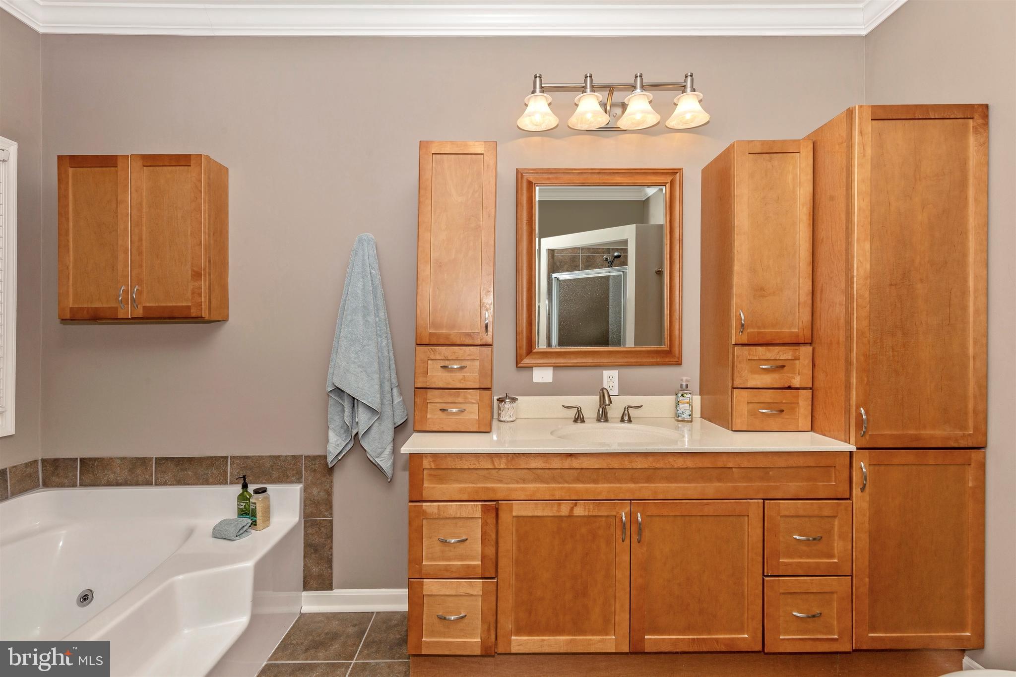 6774 Balmoral Ridge New Market, MD 21774 - Photo 19 of 118 Gallery Image 19