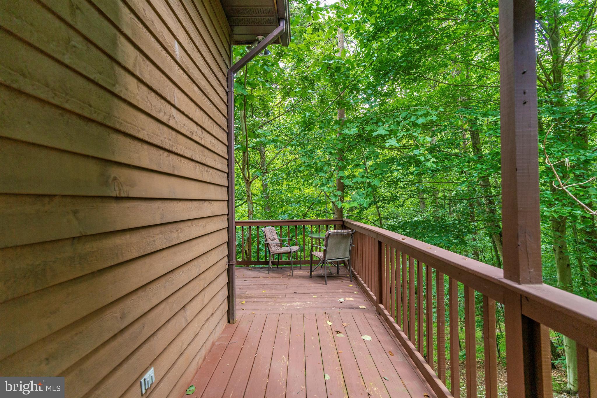 6774 Balmoral Ridge New Market, MD 21774 - Photo 48 of 118 Gallery Image 48