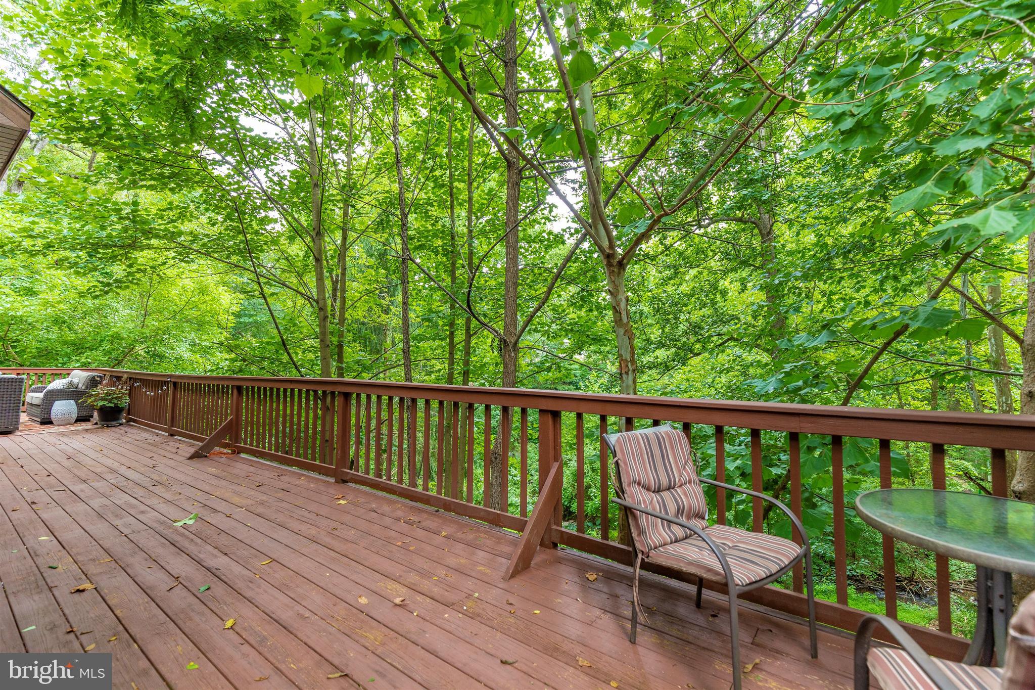 6774 Balmoral Ridge New Market, MD 21774 - Photo 50 of 118 Gallery Image 50