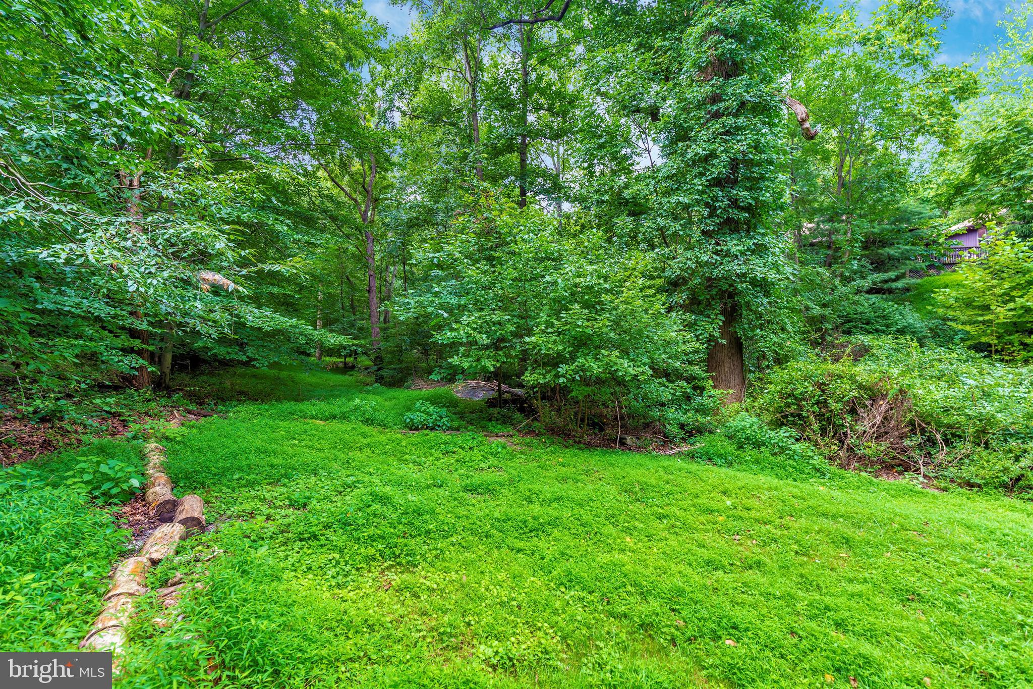 6774 Balmoral Ridge New Market, MD 21774 - Photo 75 of 118 Gallery Image 75