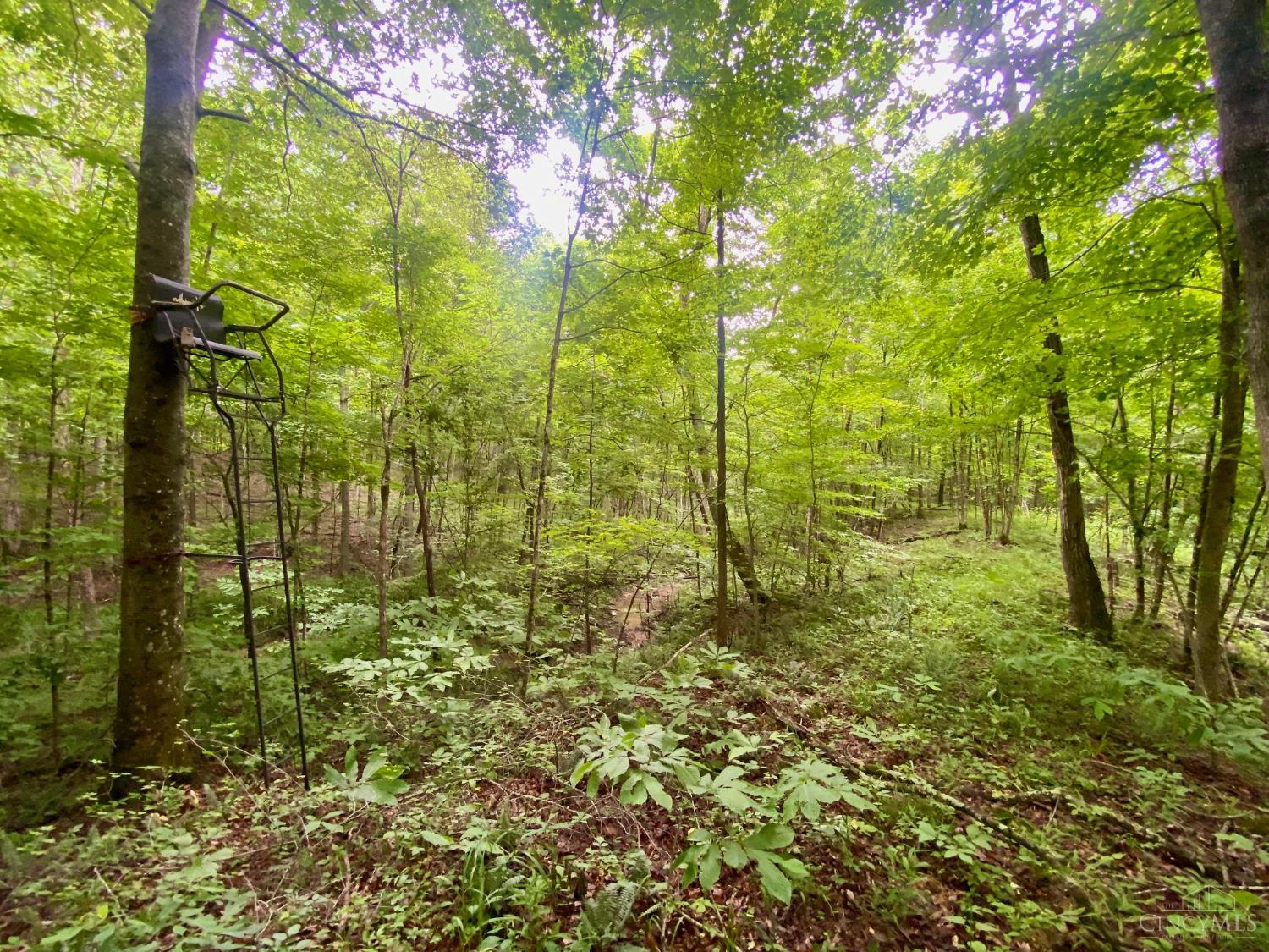400 Lynn Morgan Road Seaman, OH 45679 - Photo 17 of 24