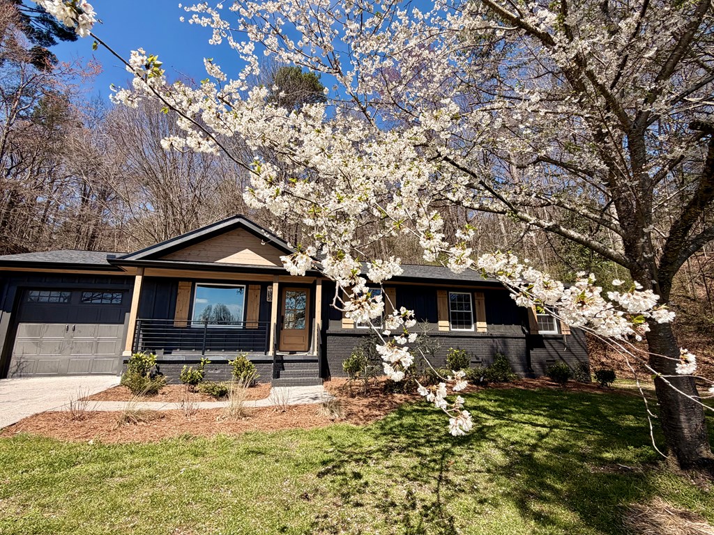 1819 Boardtown Road Ellijay, GA 30540 - Photo 2 of 13 a front view of a house with yard and seating area