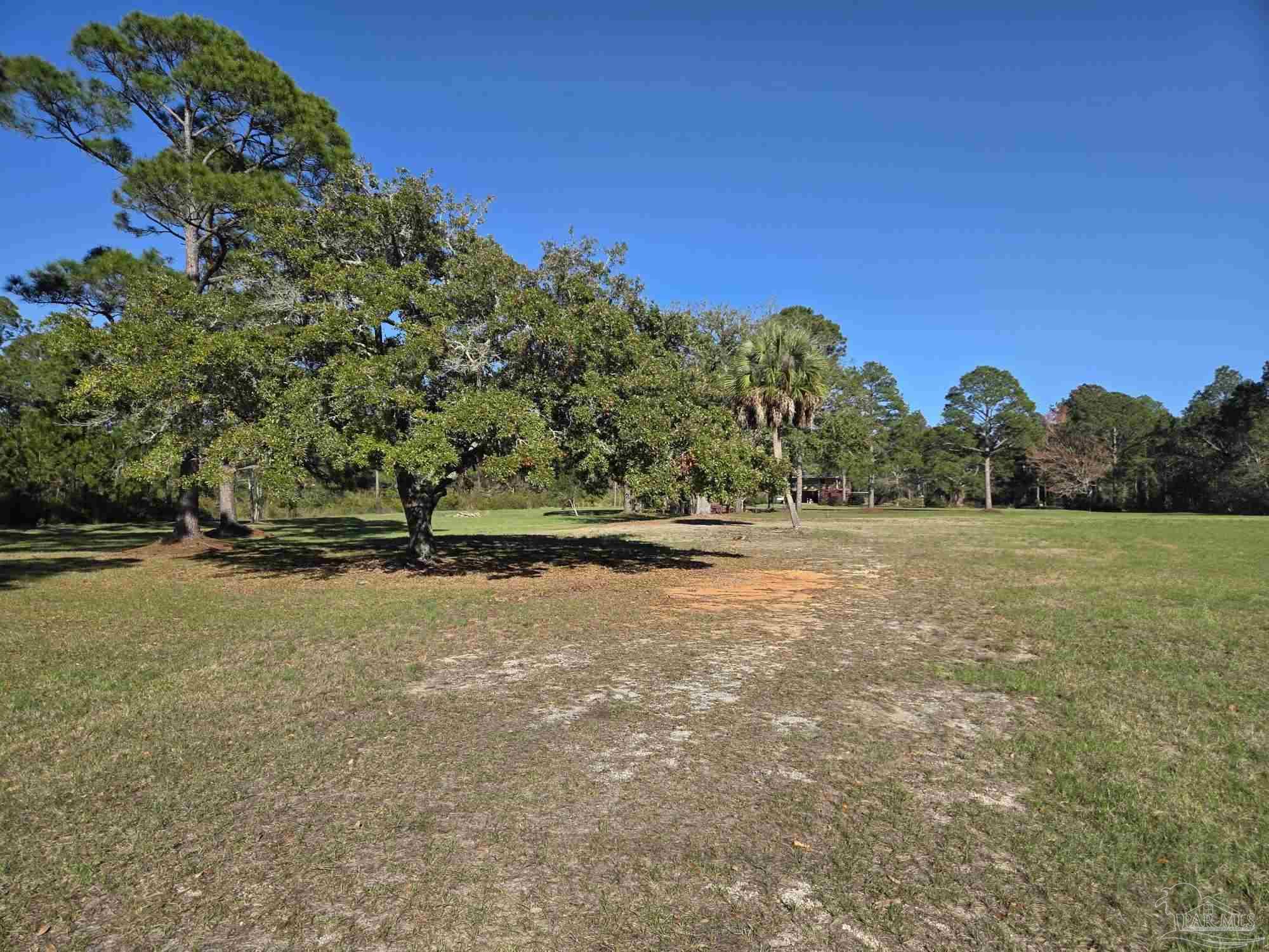 1164 Pearson Road, Unit LOT 1 Milton, FL 32583 - Photo 4 of 15