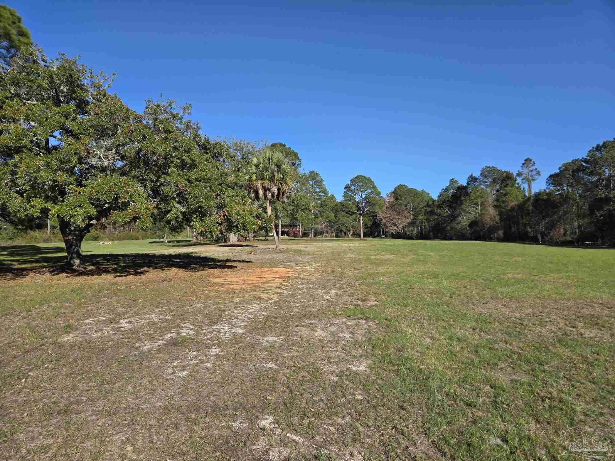 1164 Pearson Road, Unit LOT 1 Milton, FL 32583 - Photo 5 of 15