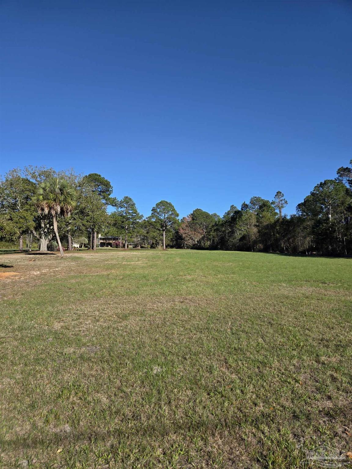 1164 Pearson Road, Unit LOT 1 Milton, FL 32583 - Photo 6 of 15