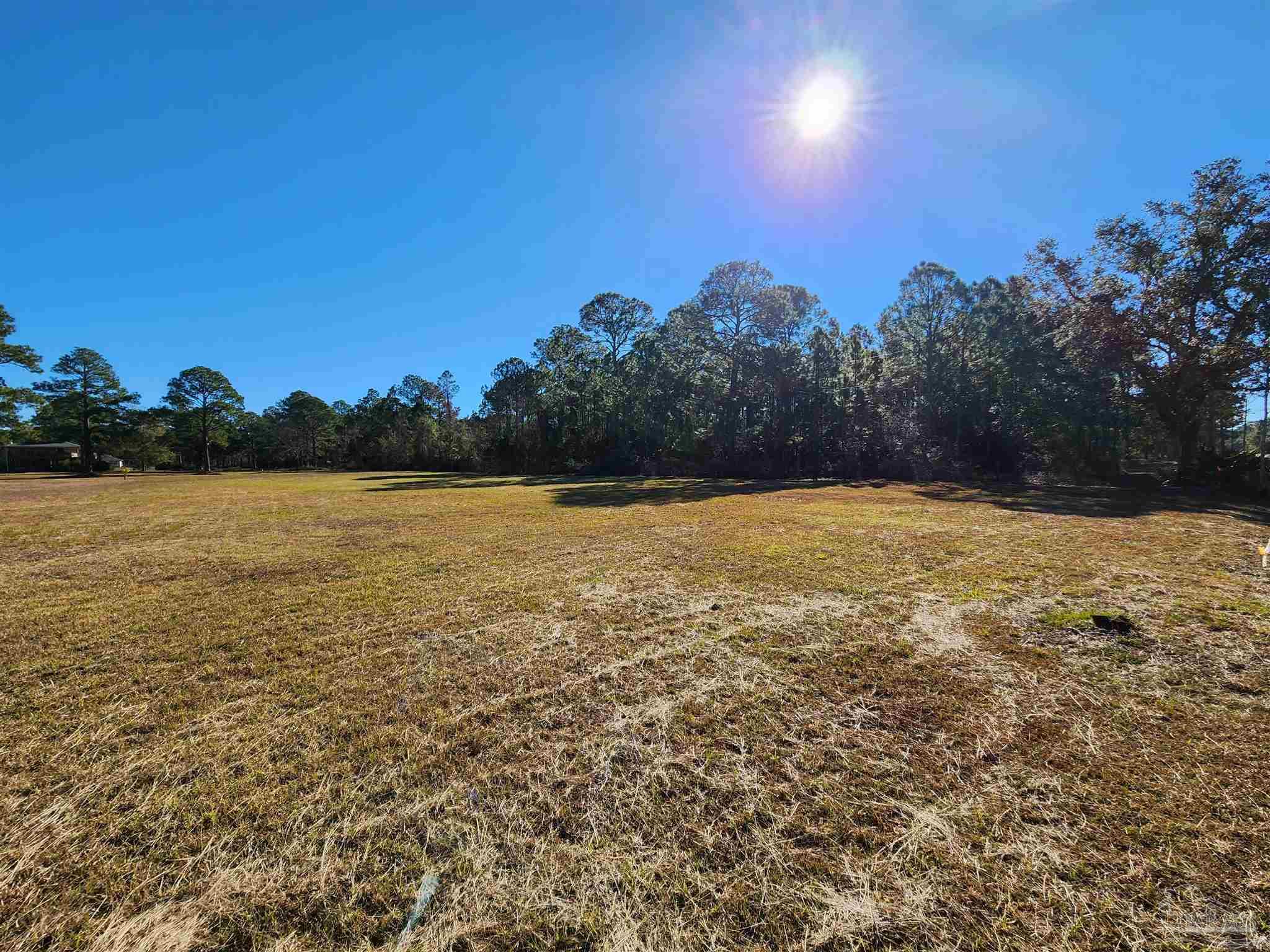 1164 Pearson Road, Unit LOT 1 Milton, FL 32583 - Photo 7 of 15