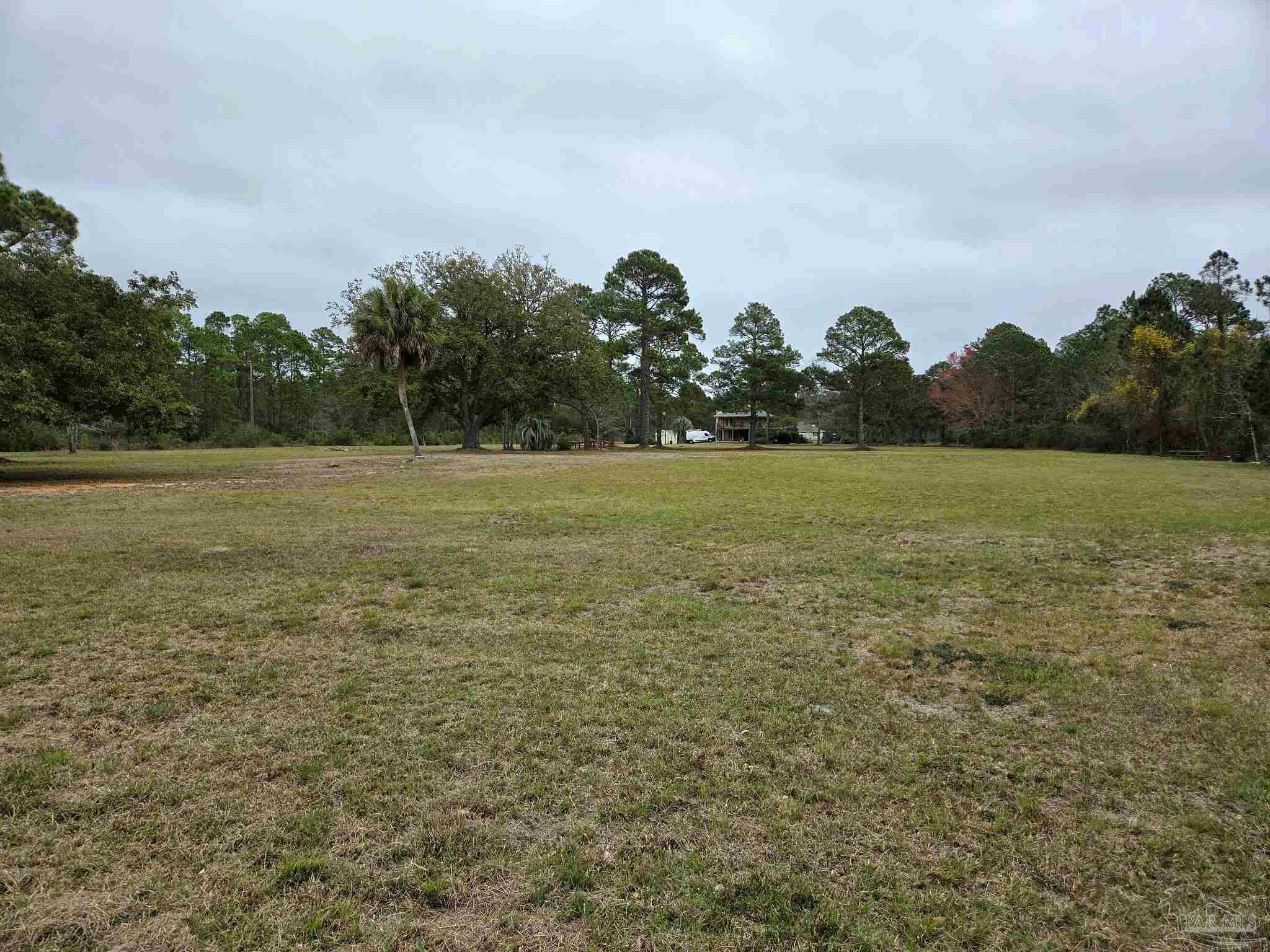 1164 Pearson Road, Unit LOT 1 Milton, FL 32583 - Photo 8 of 15