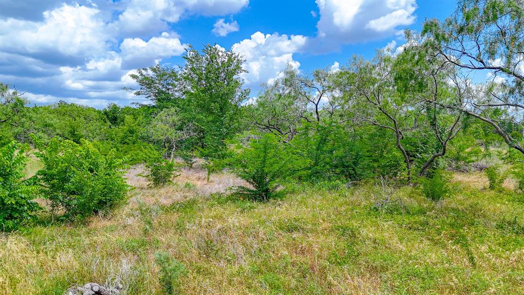 Lot 123 Palmito Ranch Road Corsicana, TX 75110 - Photo 18 of 23 a view of a yard