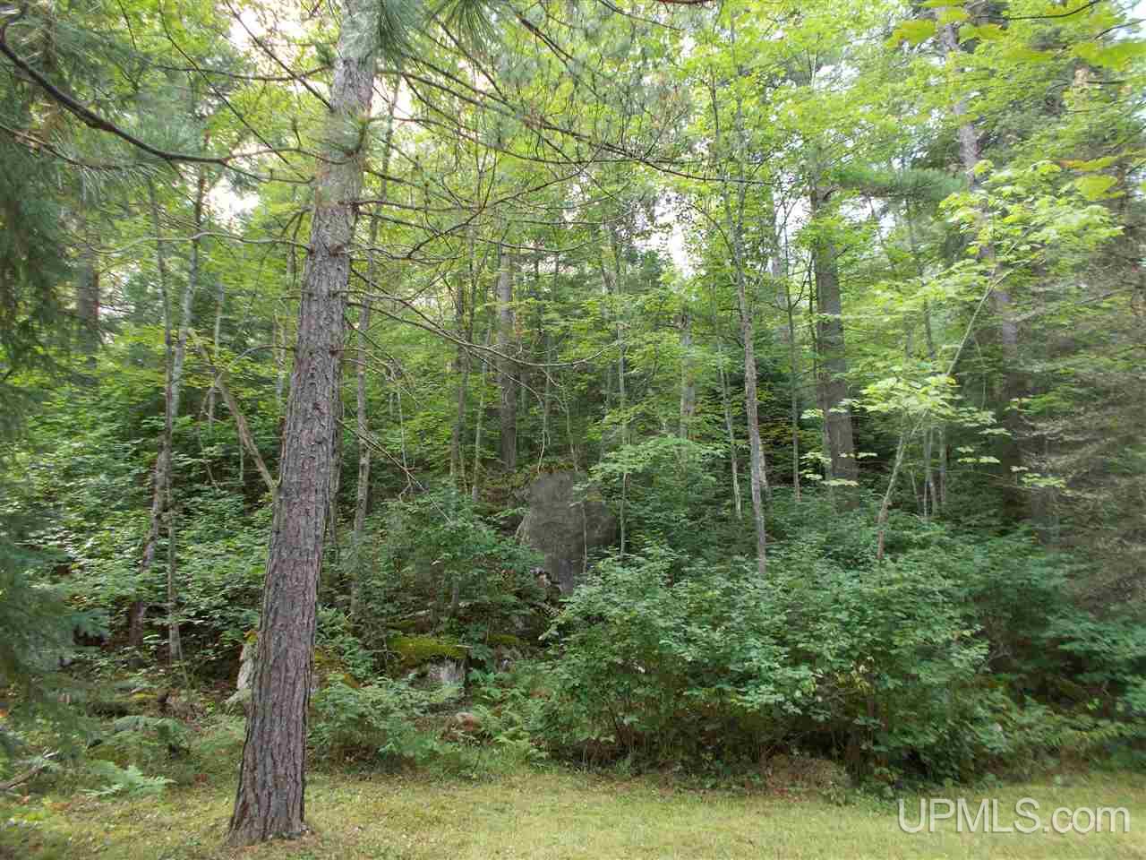 65 Co Road Negaunee, MI 49866 - Photo 15 of 30
