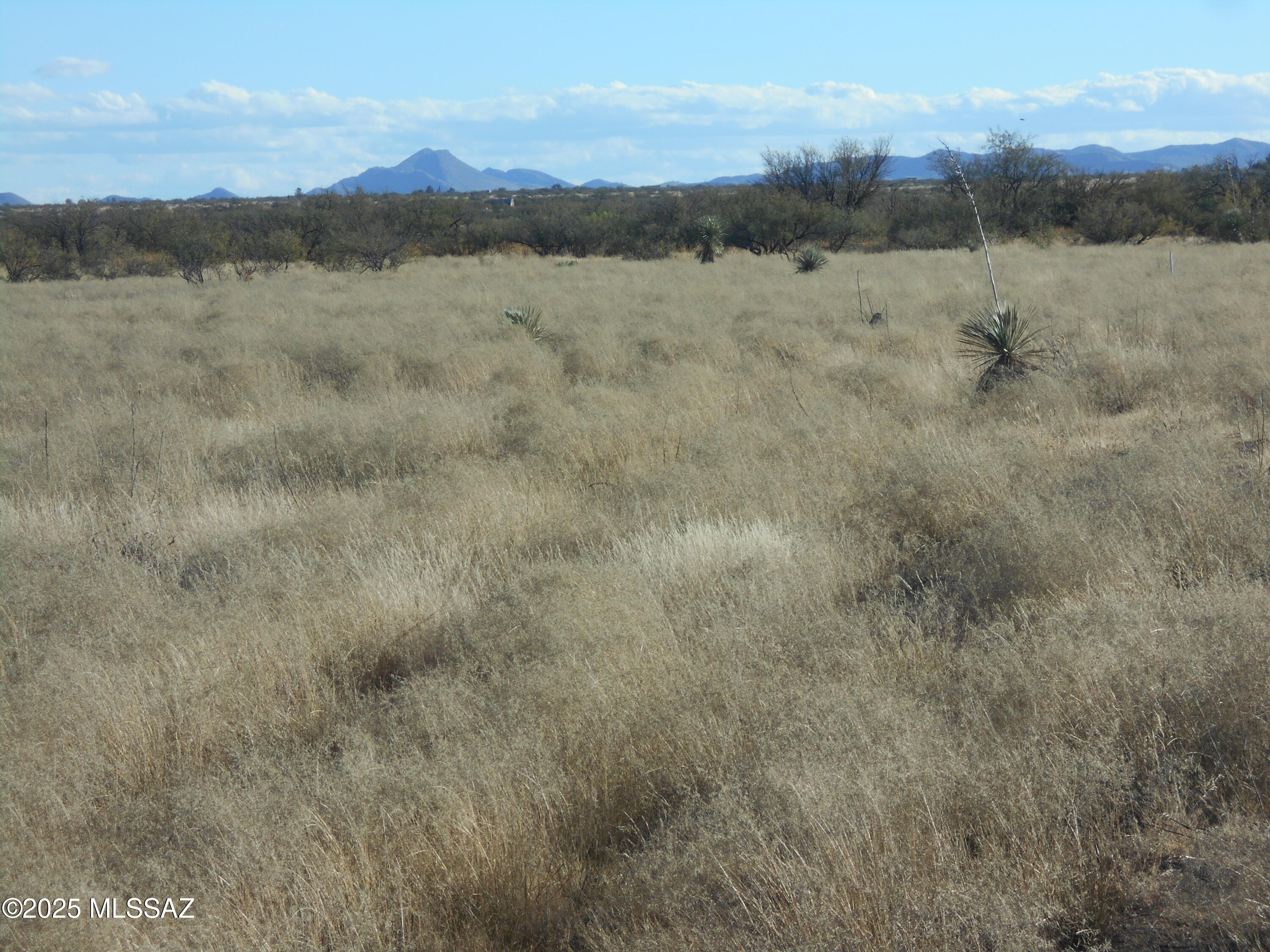 4.25-acres Eastland Road, Unit 8 Cochise, AZ 85606 - Photo 5 of 35