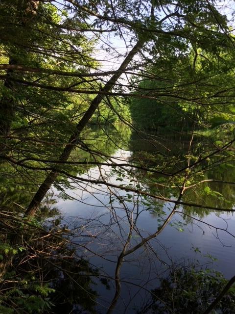 265 Webber Hill Road Kennebunk, ME 04043 - Photo 4 of 5 265 Webber Hill Road - Mousam River off