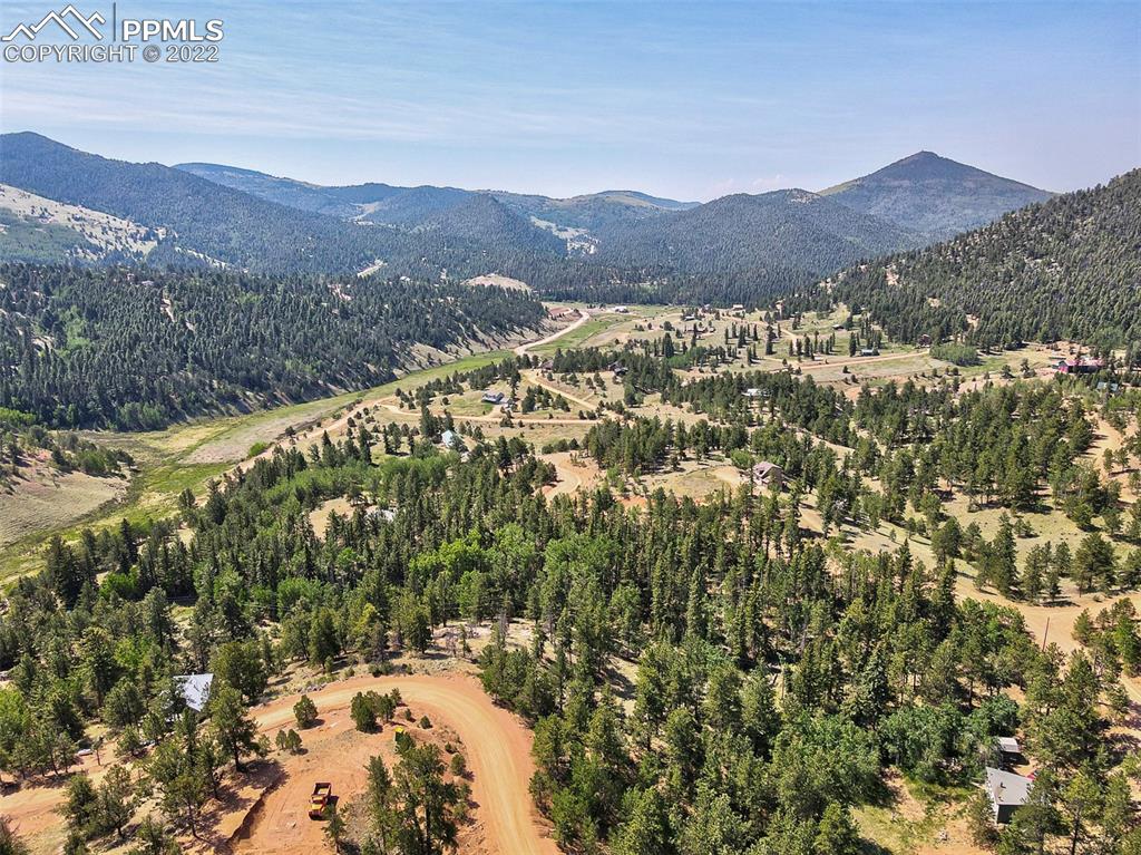 521 Vindicator Drive Cripple Creek, CO 80813 - Photo 1 of 2 a view of a forest with mountains in the background