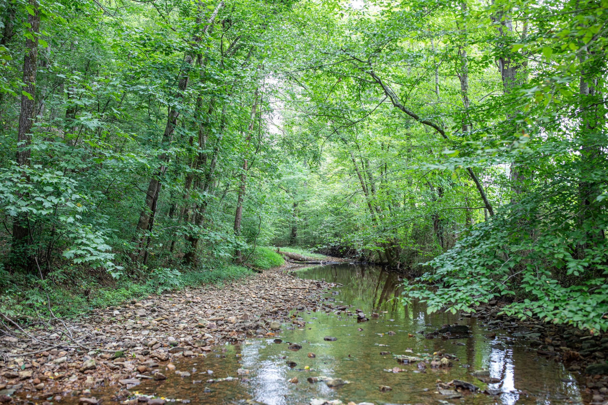 1025 Choate Road Dickson, TN 37055 - Photo 2 of 64