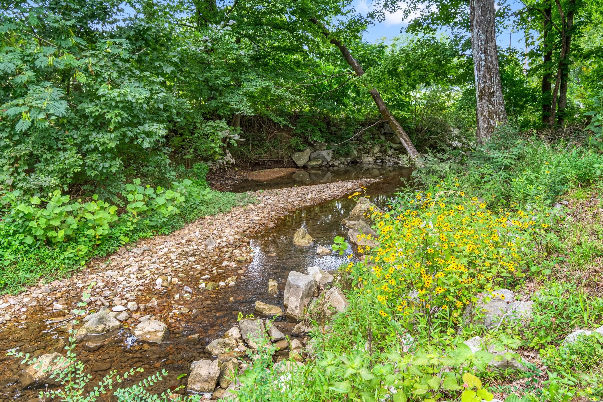 1025 Choate Road Dickson, TN 37055 - Photo 55 of 64