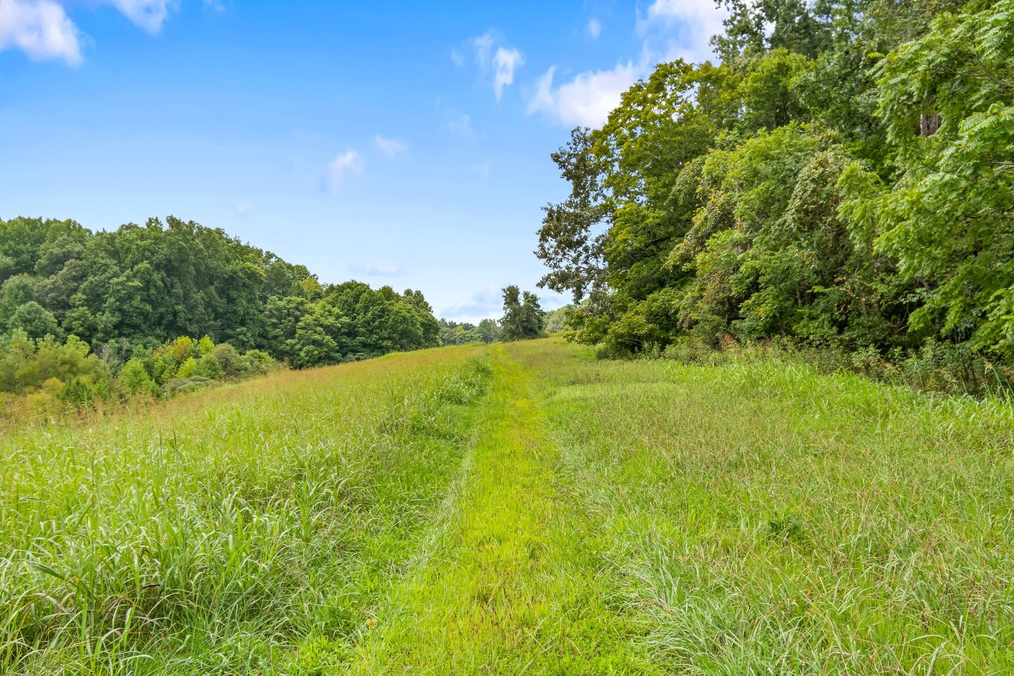 1025 Choate Road Dickson, TN 37055 - Photo 56 of 64