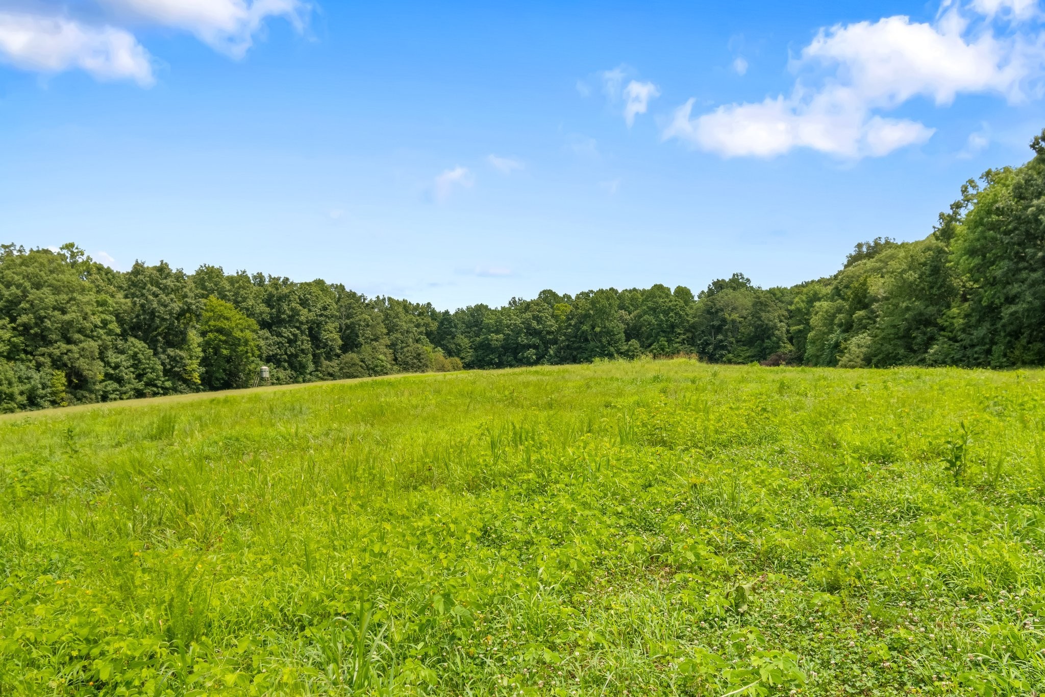 1025 Choate Road Dickson, TN 37055 - Photo 57 of 64