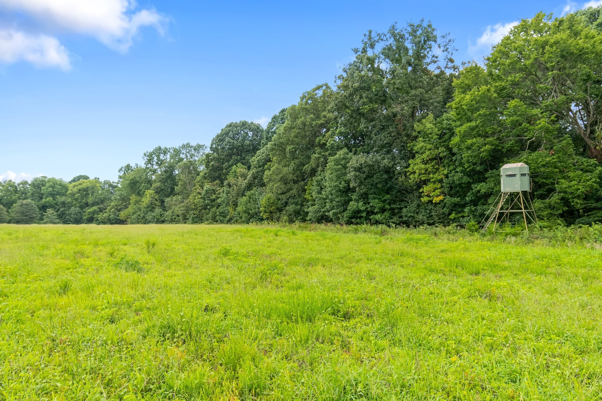 1025 Choate Road Dickson, TN 37055 - Photo 58 of 64