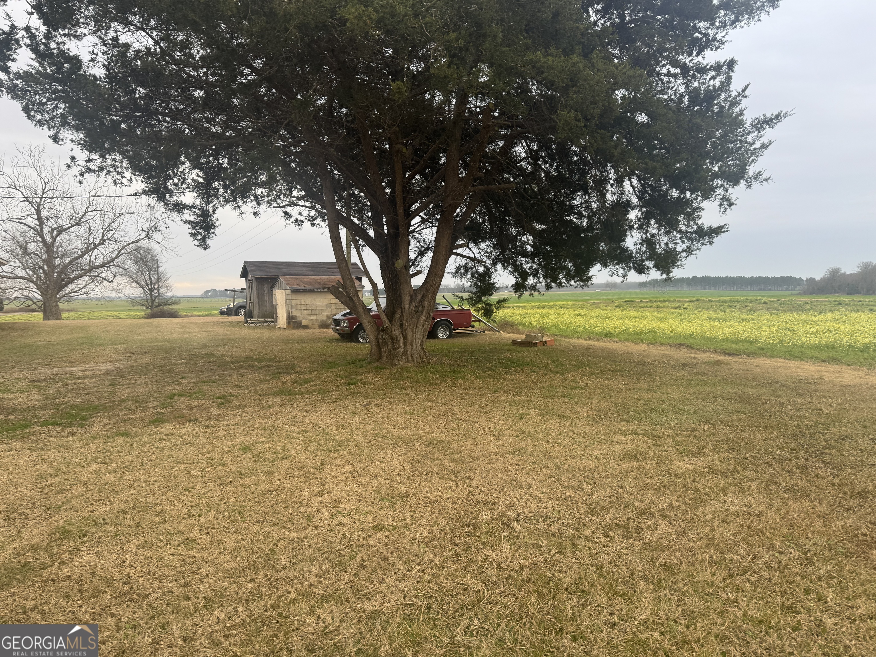 5545 Noble Gin Road Pinehurst, GA 31070 - Photo 20 of 25