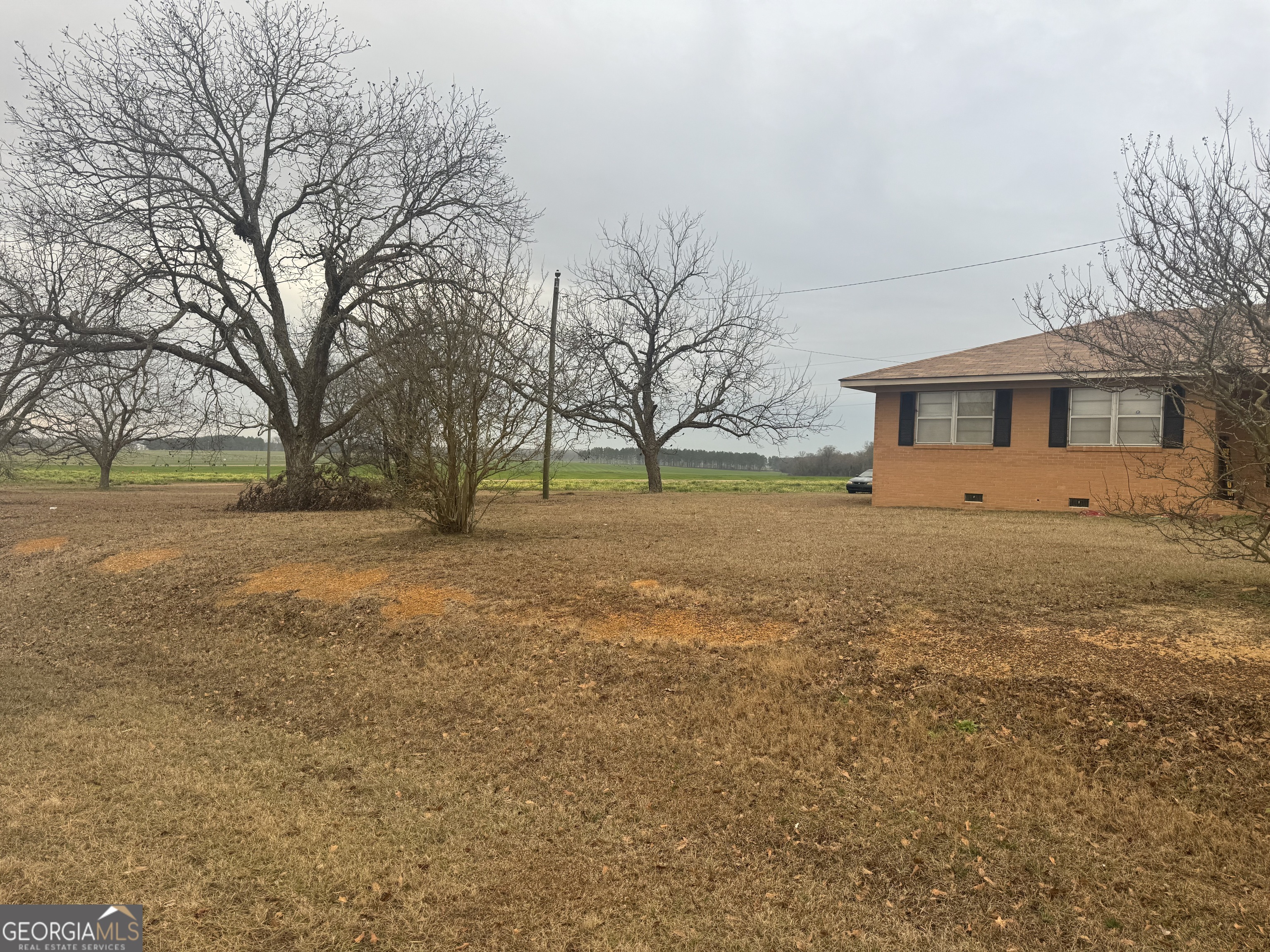 5545 Noble Gin Road Pinehurst, GA 31070 - Photo 3 of 25